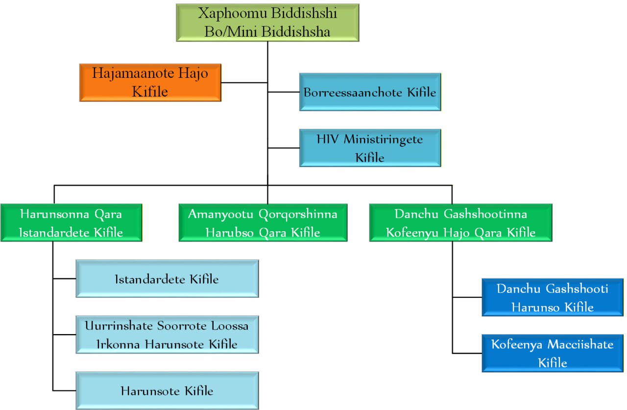 Xaphoomu Biddishshi Borro Mine